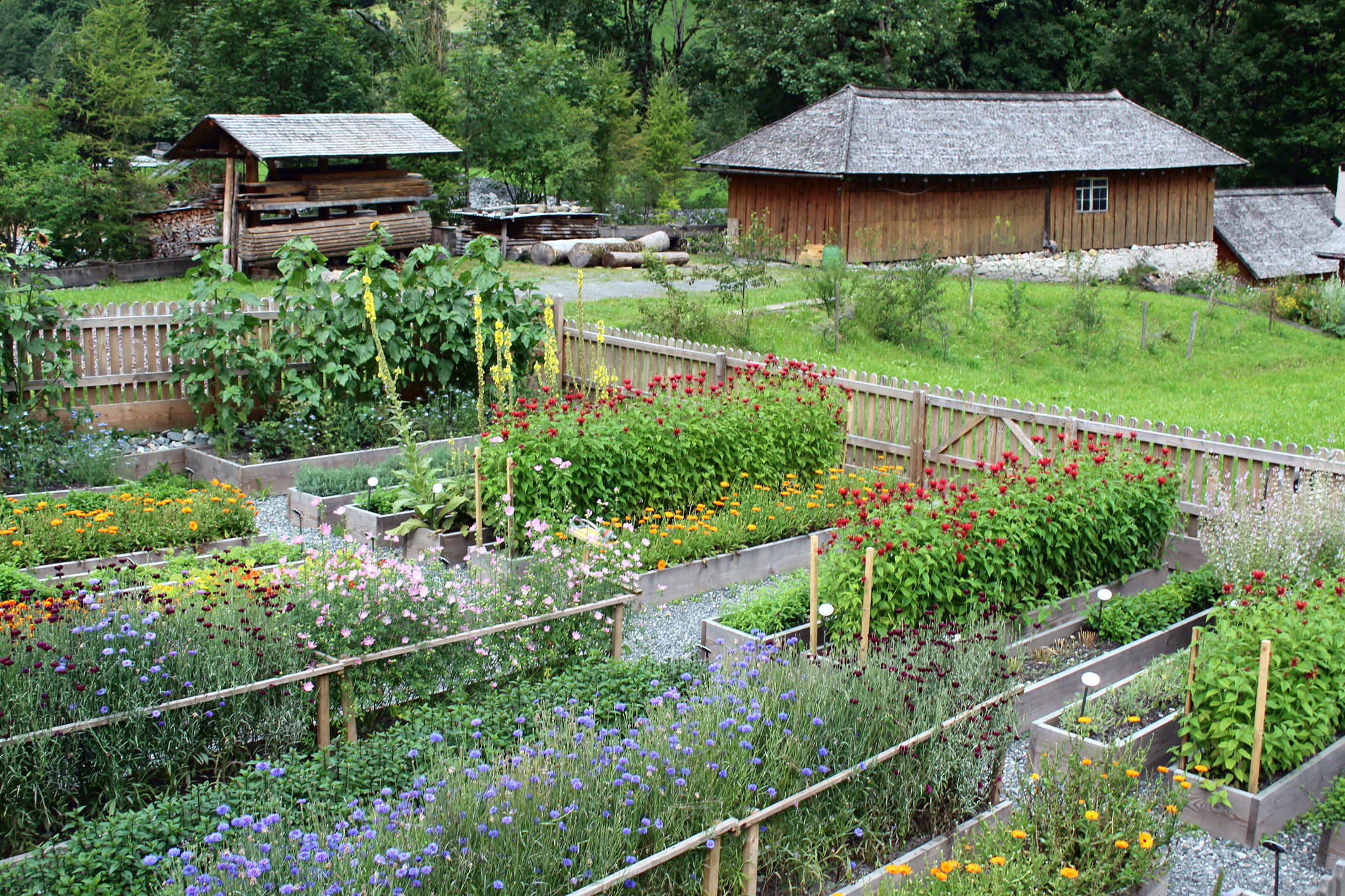 Gesunde Kräutergeschenke herstellen